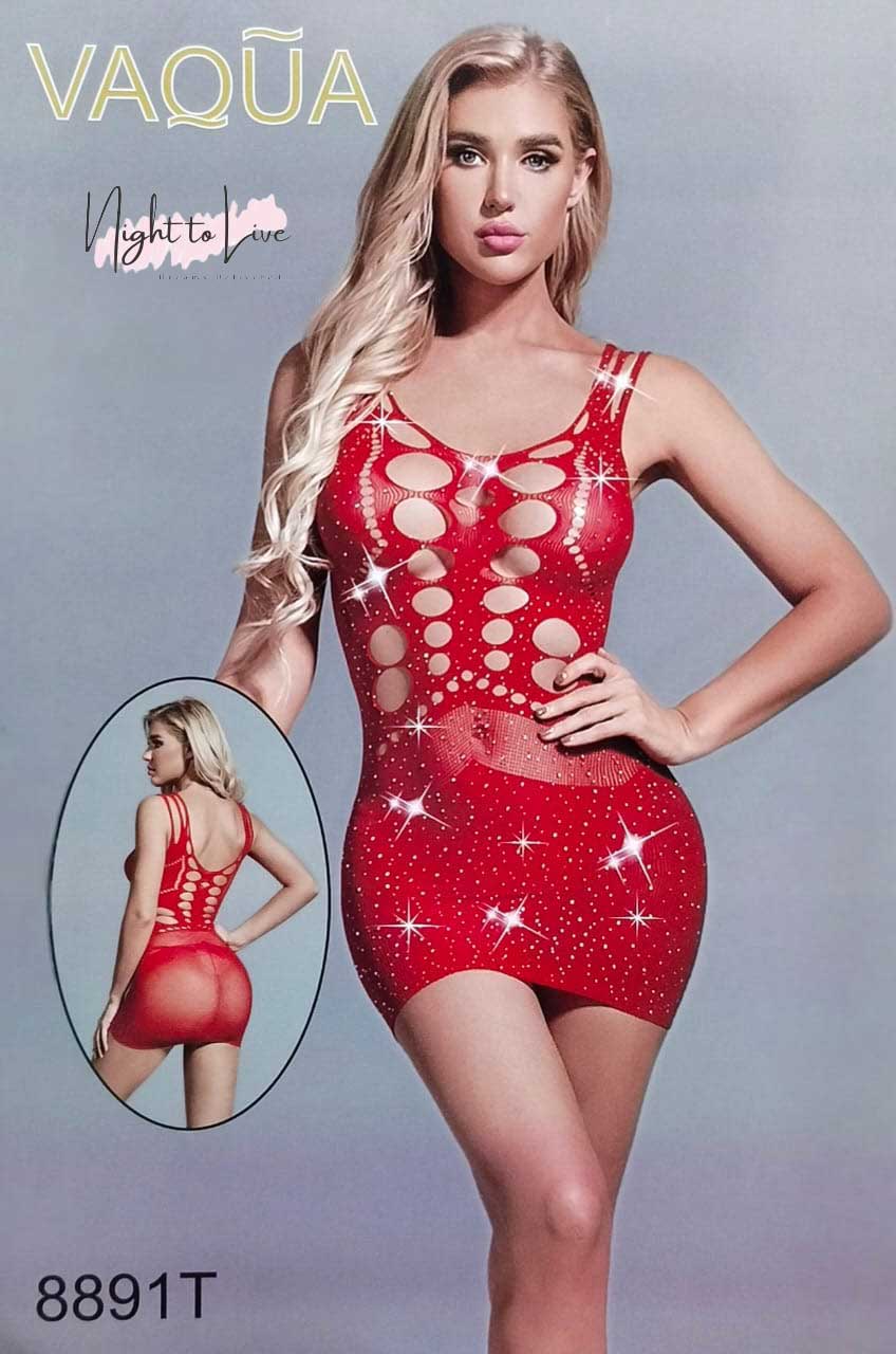 Mesh Fishnet Bodystocking Lingerie (N-T-L-84)