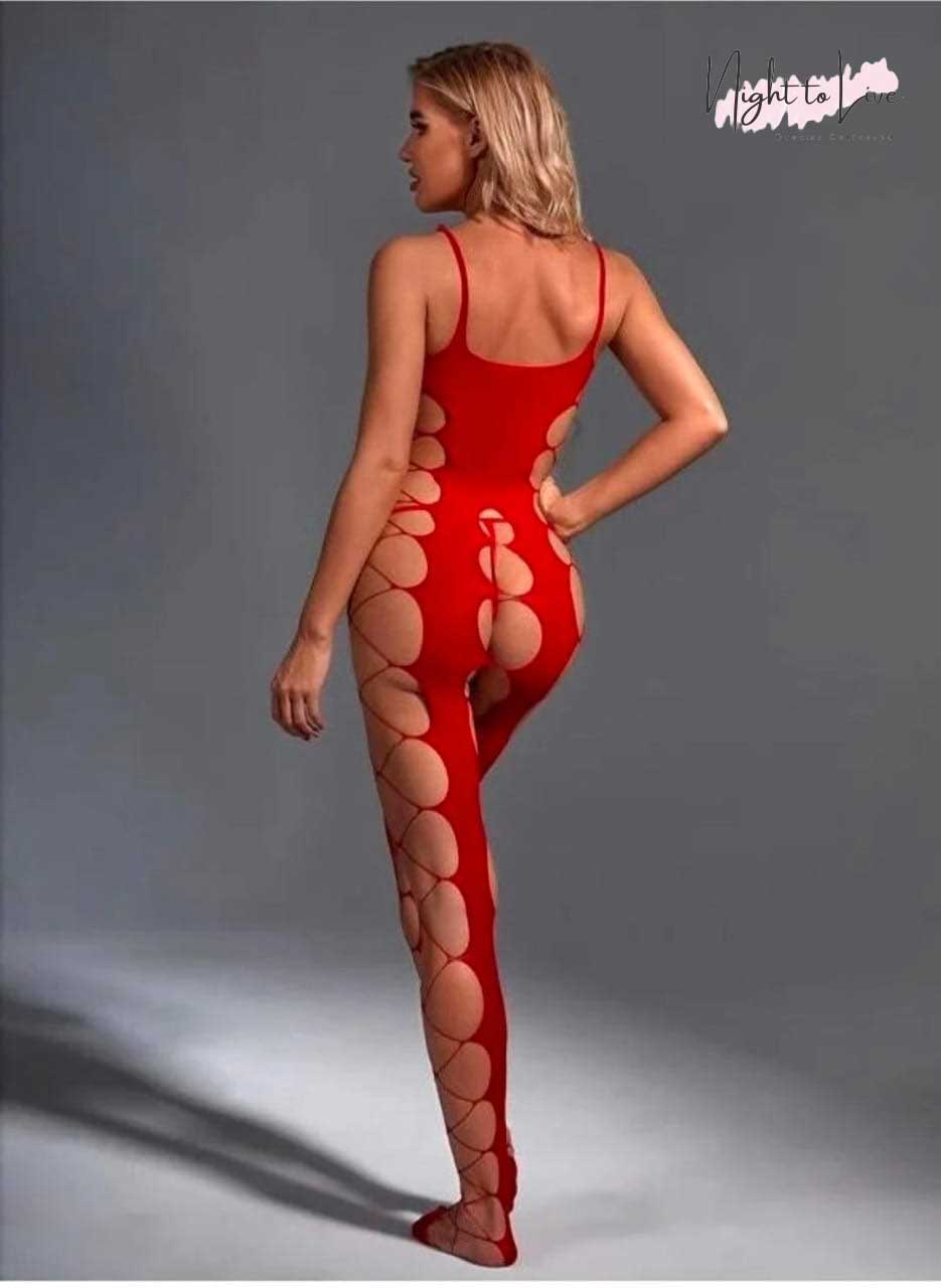 Mesh Fishnet Bodystocking Lingerie (N-T-L-103)