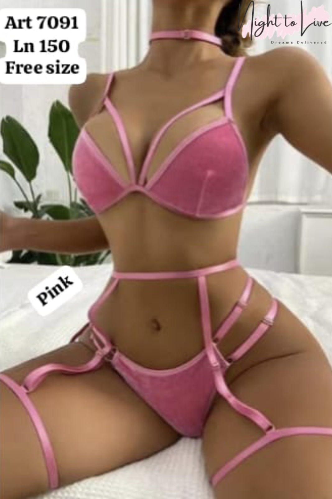 3 pec bikni garter set  (N-T-L-246)